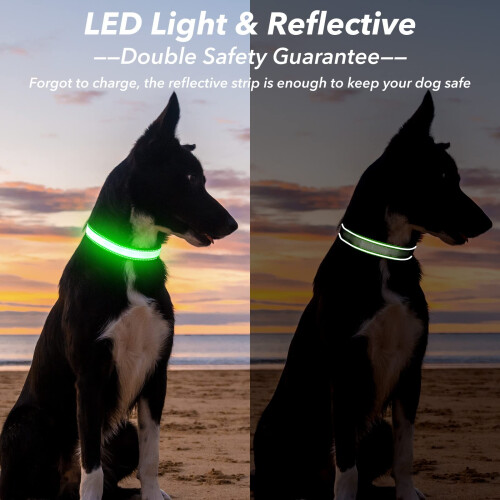 Visinite LED Dog Collar USB Rechargeable, Reflective Light Up Pet Coll 2
