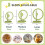 Hamster Wheel, Quiet Spinner Hamster Running Exercise Wheel with Adjus 4
