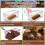 Legigo 2 Pack Compressed Coconut Fiber Substrate - 100% Organic Coconu 3