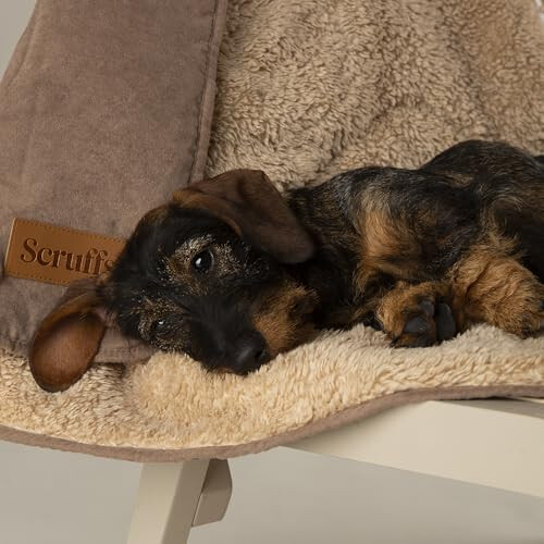 Scruffs Scruffs Dog/Pet Snuggle Blanket - Caramel Brown 2