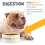 maxxipaws maxxidigest+ Probiotic, Digestive & Immune Supplement for Do 6