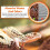 Legigo 2 Pack Compressed Coconut Fiber Substrate - 100% Organic Coconu 5