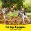 Vetzyme Vetzyme B Plus E Dog Vitamins and Supplements (200 Tablets) - With Zin 4