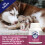 Dorwest Raspberry Leaf Tablets for Dogs And Cats, 100 Tablets, Pregnan 6