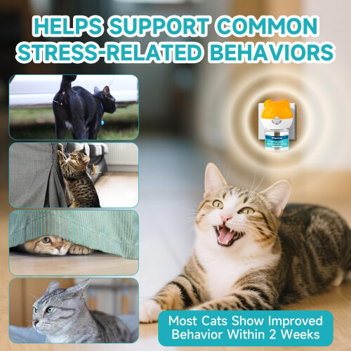 Woyamay Cat Calming Plug-in for Cats, 6-in-1 Cat Pheromone Diffuser fo 1