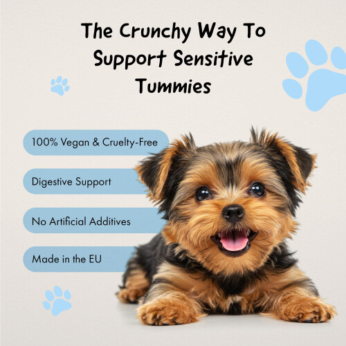 Belly Activated Charcoal Biscuits for Dogs -400g- Digestive Support - 1