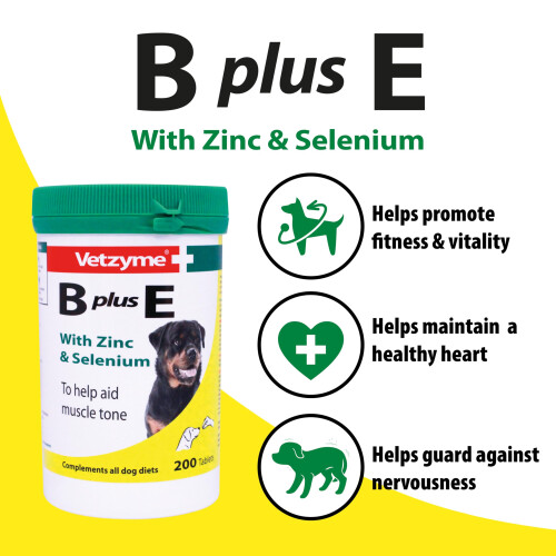 Vetzyme Vetzyme B Plus E Dog Vitamins and Supplements (200 Tablets) - With Zin 2