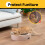 Conlun Cat Scratcher Box with 4 Cat Scratching Board Reversible Kitty 4