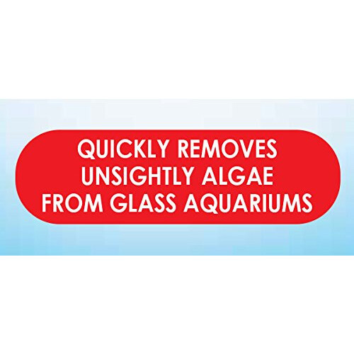 API HAND HELD ALGAE PAD For Glass Aquariums 1-Count Container 2