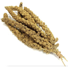 Millet Sprays 1kg Premium Cage Bird Food Seed