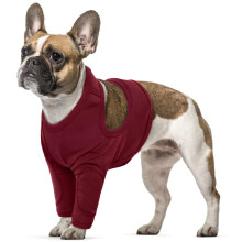 Dog Recovery Sleeve, Dog Front Leg Wound Protector Pet Recovery Suit L