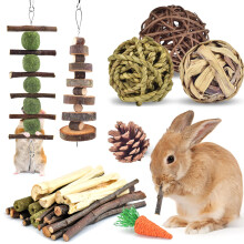 ERKOON Rabbit Chew Toys, 10 Types Natural Small Animal Treats for Bunn