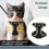 Bindokun Cat Harness and Lead Set, Escape Proof Kitten Harness with Ca 4