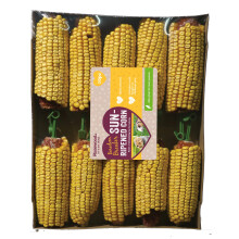 Rosewood Boredom Breaker Sun-Ripened Corn, Rabbit Treats & Small Anima