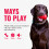 KONG Kong Puppy Ball With Hole Medium/large 4