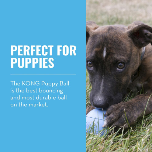 KONG Kong Puppy Ball With Hole Medium/large 1