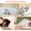 Catcan Breathable Mesh Anti Scratch Adjustable Cat Grooming Bag for Na 6