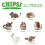 Chipsi Classic 15 Litre Litter 6