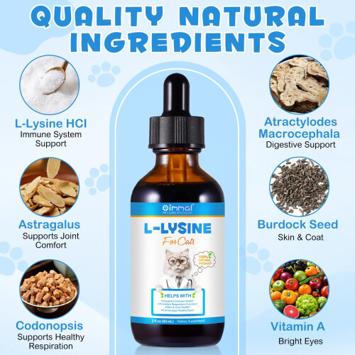 L-Lysine for Cats & Kittens,Lysine Drops Immune Support Supplement for 1