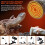 Adiwo 1 Pack 60W Ceramic Reptile Heat Bulb, E27 Base, Infrared Heating 4