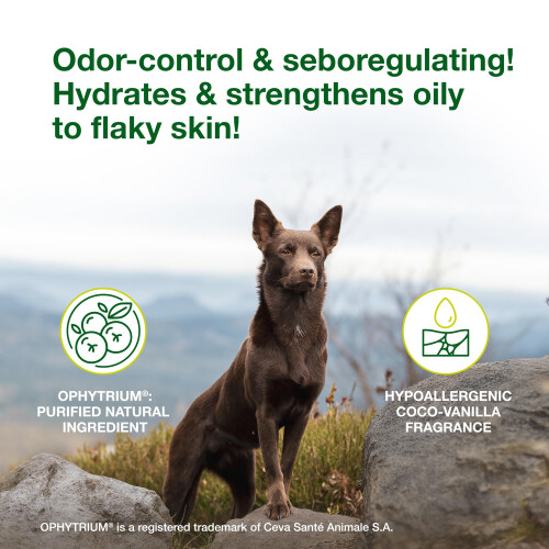 DOUXO S3 SEB Shampoo, Cat & Dog Dandruff Shampoo, Dandruff Solution, S 1