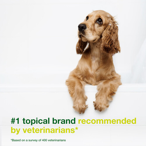 DOUXO S3 SEB Shampoo, Cat & Dog Dandruff Shampoo, Dandruff Solution, S 2