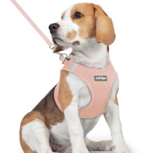 rabbitgoo Dog Harness Small Dog and Leash Set, Step-in Soft Mesh Puppy