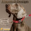 SEOUGEE Martingale Dog Collar Personalised, Reflective Nylon Escape-pr 2