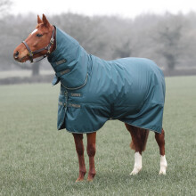 Shires Typhoon 200g Mediumweight Combo Turnout Rug - Green
