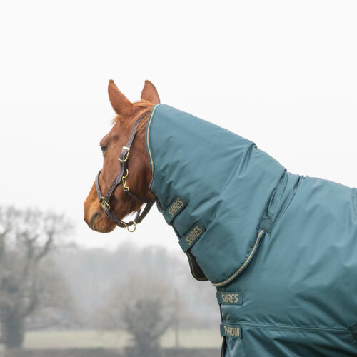 Shires Typhoon 200g Mediumweight Combo Turnout Rug - Green 1