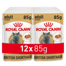 Royal Canin British Shorthair Wet Cat Food, 85 g (Pack of 12)