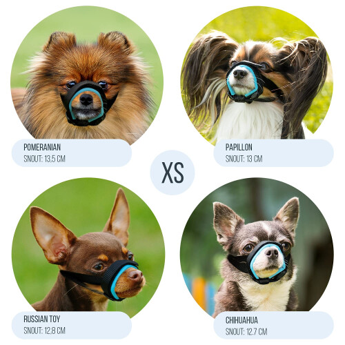 Gentle Muzzle Guard for Dogs - Prevents Biting and Unwanted Chewing Sa 2