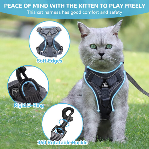 Cat Harness and Lead Set, Adjustable Kitten Harness and Lead Set with 2