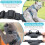 Cat Harness and Lead Set, Adjustable Kitten Harness and Lead Set with 6