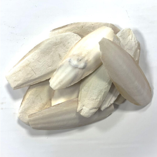 50g Premium Quality Small Cuttlefish Bone Suitable for Cage Birds, Rep