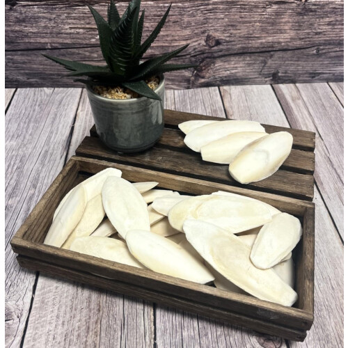 50g Premium Quality Small Cuttlefish Bone Suitable for Cage Birds, Rep 2