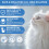 Aomig Pheromone Diffuser Refill for Cats Multi-Cat Household Refill, C 6
