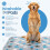 Magnus Creations | 5 Layer Washable Puppy Training Dog Pads | 2 pack | 4