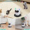 TBTeek Cat Toy, Automatic & Remote Control, 2in1 Rechargeable - Rotati 2