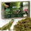 OFFCUP Natural Moss, 150g Dried Forest Moss for Maintain Humidity, Ter 1