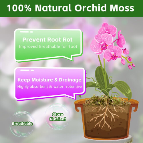 OFFCUP Natural Moss, 150g Dried Forest Moss for Maintain Humidity, Ter 2