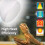 DERNORD Reptile Heat Lamp Light Bulb - 50W Basking Spot Light 2 Pack E 3