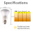 DERNORD Reptile Heat Lamp Light Bulb - 50W Basking Spot Light 2 Pack E 2
