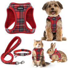 Small Pet Harness Collar and Leash Set, Step in No Chock No Pull Soft