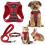 Small Pet Harness Collar and Leash Set, Step in No Chock No Pull Soft 1