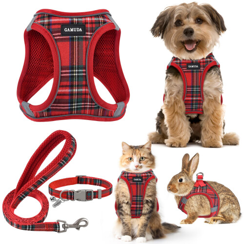 Small Pet Harness Collar and Leash Set, Step in No Chock No Pull Soft
