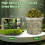 OFFCUP Natural Moss, 150g Dried Forest Moss for Maintain Humidity, Ter 2