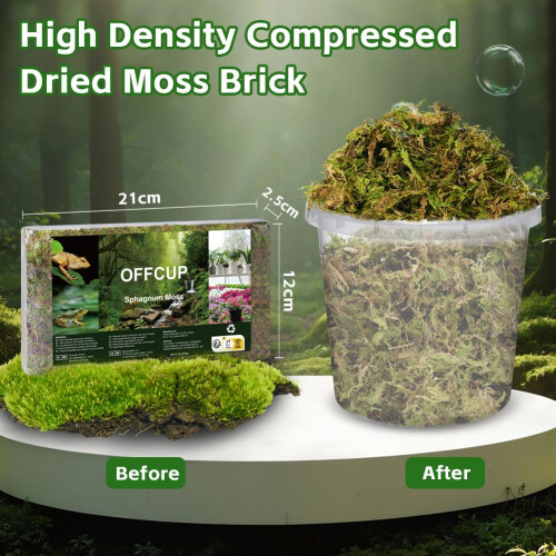 OFFCUP Natural Moss, 150g Dried Forest Moss for Maintain Humidity, Ter 1