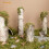 Niteangel 5L Forest Moss Soft Natural Moss Bedding Nesting for Dwarf S 2