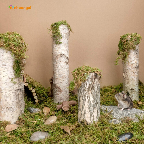 Niteangel 5L Forest Moss Soft Natural Moss Bedding Nesting for Dwarf S 1